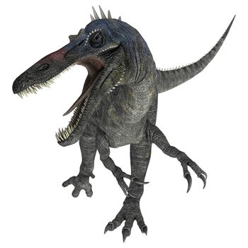 3D digital render of a suchomimus tenerensis isolated on white background