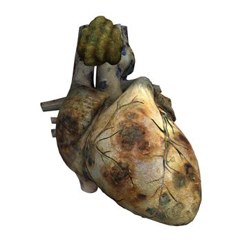 3D digital render of a sick human heart isolated on white background