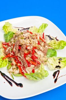 roast beef salad portion on white plate