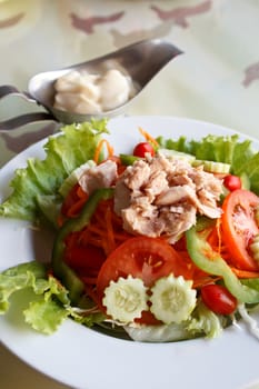 Tuna and vegetable salad and Mayonnaise
