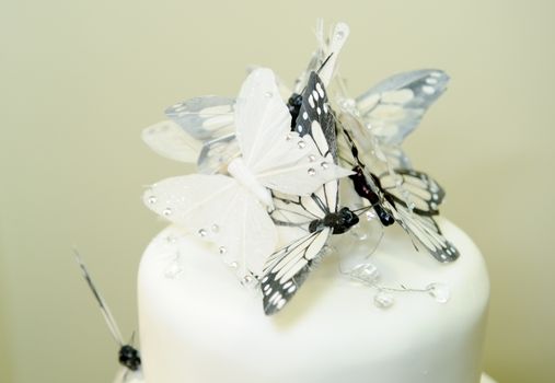 Closeup of black and white wedding cake with butterfly decoration