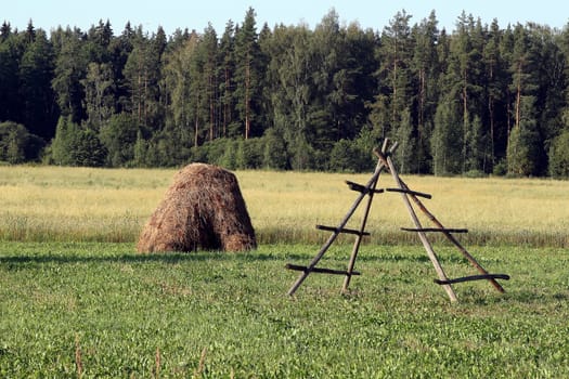 The Latvian countryside