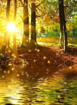 Autumn lake in deep wood