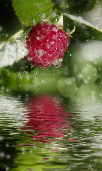 Raspberry and rain