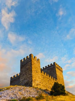 Medieval castle