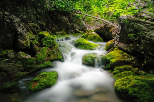 View of mountain river in summer.