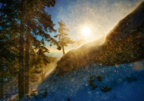 Abrupt slope with conifer forest in snowstorm