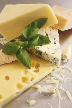 Various types of cheese on stainless counter