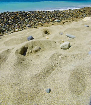 Beach background