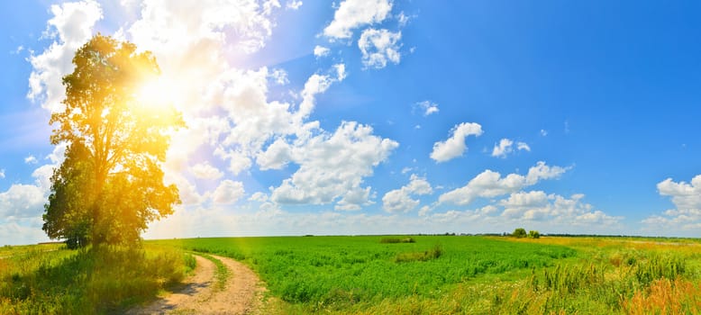 Landscape with sun and country road