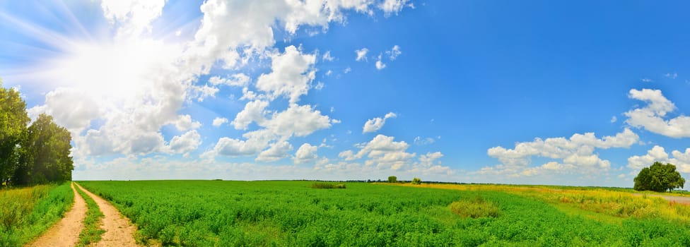 Landscape with sun and country road