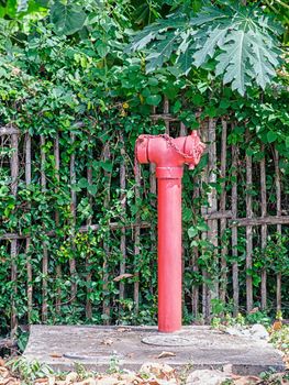 Red fire hydrant beside fence in rural of Thailand 