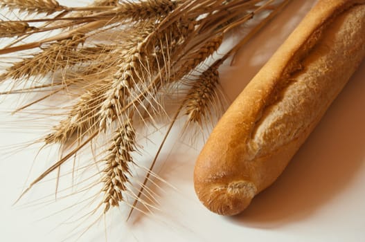 bread and dried wheat closeup