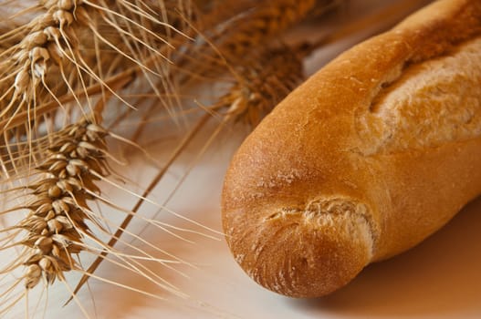 bread and dried wheat closeup