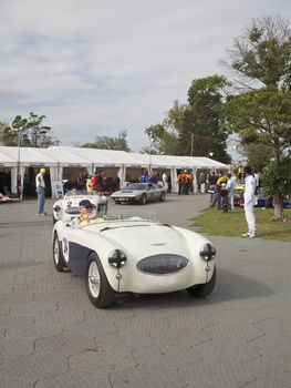 Melbourne Formula One, Austin Healey and Other Racers 2010