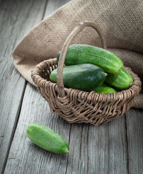 Harvest cucumbers in a basket on the wooden background
