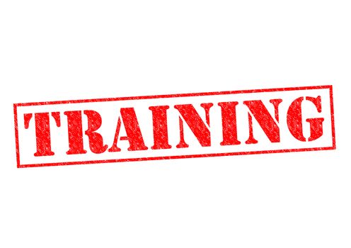 TRAINING red Rubber Stamp over a white background.