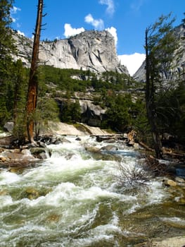 Wild river in Yosemite National Park (California, USA)