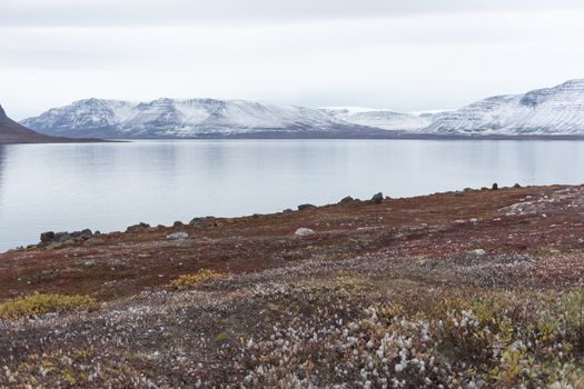 Arctic landscape in Greenland in late summer and early autumn with snowy mountains and ocean