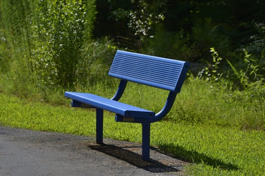 A wooden bench in lush green parkland in summer