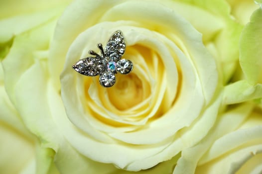 Closeup of rose with butterfly jewel