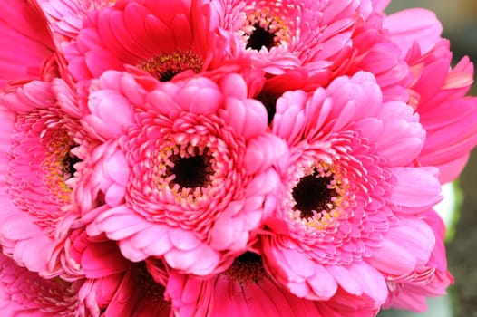 Brides pink bouquet closeup on wedding day