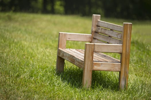 A wooden bench in lush green parkland in summer