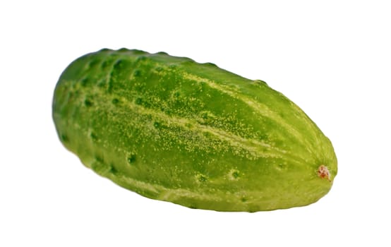 Organic cucumber on a white background.