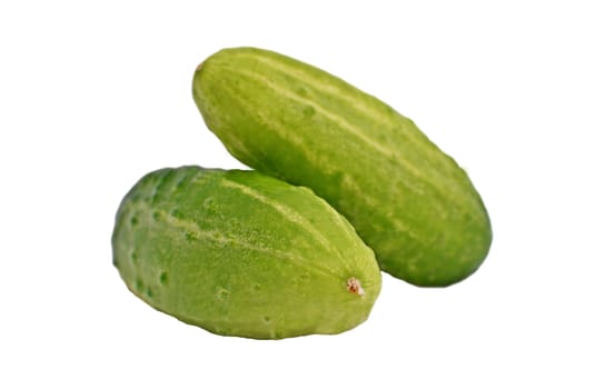 Organic cucumbers on a white background.