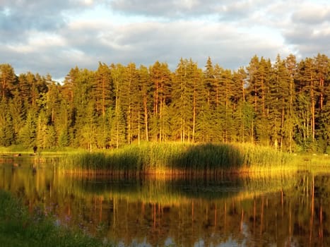 Idyllic forest path by the lake in autumn