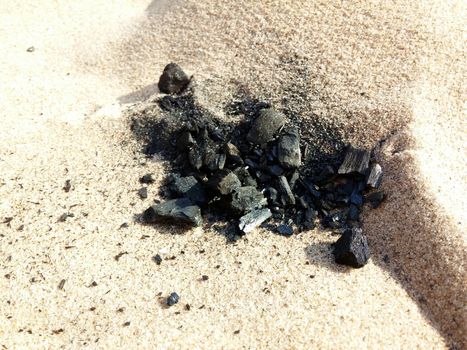 Burned Log on Sand Baltic Beach coal