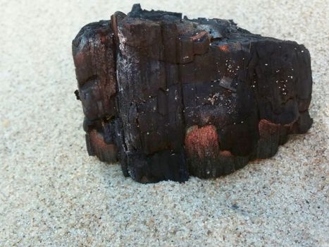 Burned Log on Sand Baltic Beach coal