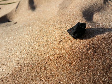 Burned Log on Sand Baltic Beach coal
