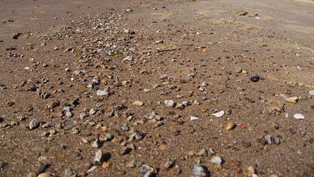 Baltic Beach sand close up, small stones
