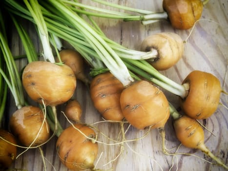 Rounded carrots