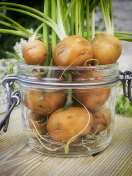 Rounded carrots in a glass jar