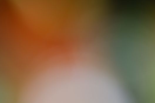 Defocused abstract texture background for your design