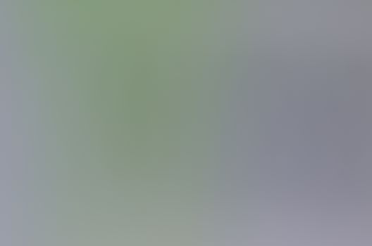 Defocused abstract texture background for your design