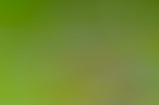 Defocused abstract texture background for your design