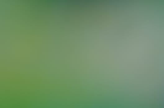 Defocused abstract texture background for your design