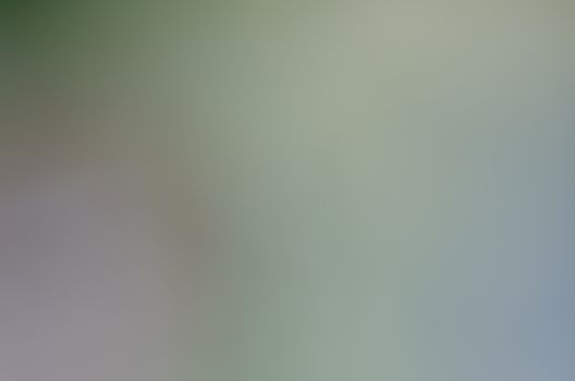 Defocused abstract texture background for your design