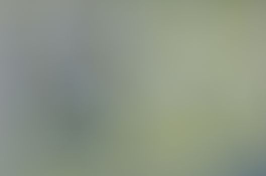 Defocused abstract texture background for your design