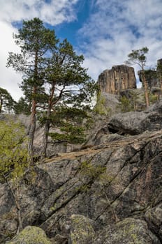 Picturesque view of trees growing on a rock in Gygrestolen, Norway