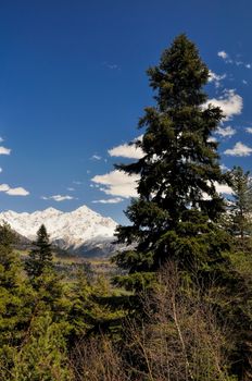 View of the snow covered mountains in Svaneti surrounded by forest