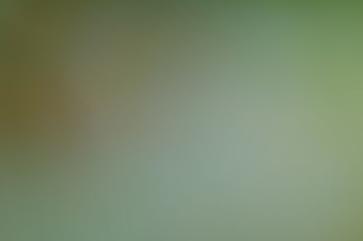 Defocused abstract texture background for your design