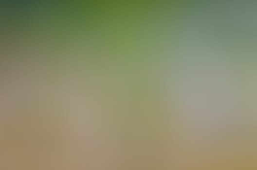 Defocused abstract texture background for your design
