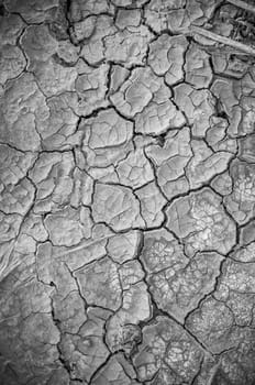 Dried earth texture background.