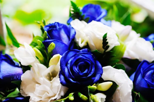 Brides blue rose bouquet closeup