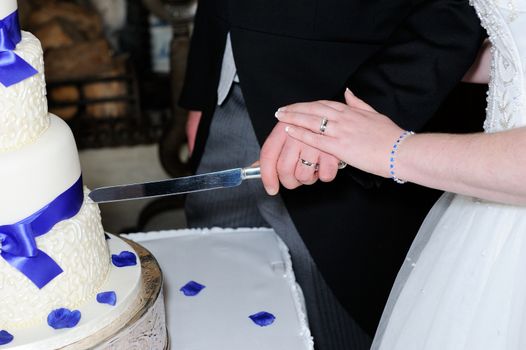 Closeup of bride and grooms hands cutting cake and showing rings