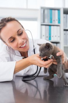 Female veterinarian checking kitten with stethoscope in clinic